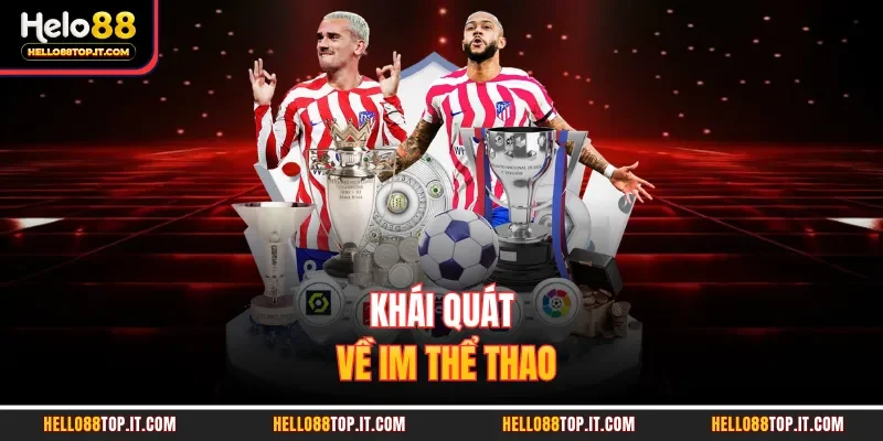 Khái quát về IM thể thao 